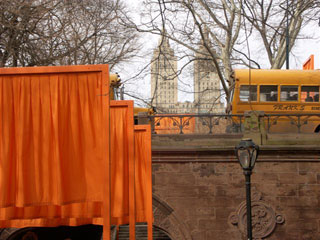 A view of Christo's Gates photographed by Patrick Burns A view of Christo's Gates photographed by Patrick Burns